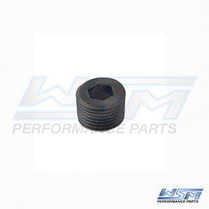 WSM Jet Pump Rear Plug – Sea-Doo 900 / 1503 / 1630 04-27 | 003-720-01B