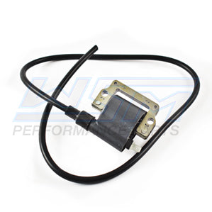 WSM 004-172 Coil, Ignition