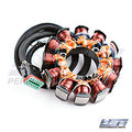WSM 004-205 Armature / Stator Coil