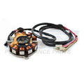 WSM 004-206-01 Armature / Stator Coil