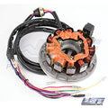 WSM 004-206-02 Armature / Stator Coil