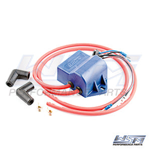 WSM 004-208 CDI Box