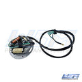 WSM 004-240 Armature / Stator Coil