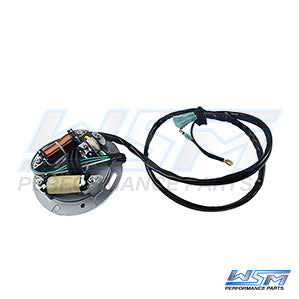 WSM 004-240 Armature / Stator Coil