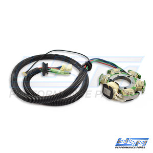 WSM 004-241 Armature / Stator Coil
