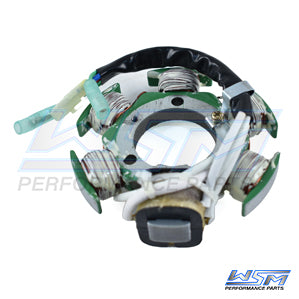 WSM 004-244 Armature / Stator Coil