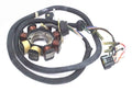 WSM 004-246 Armature / Stator Coil