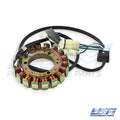 WSM 004-251 Armature / Stator Coil