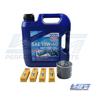 WSM 005-100 Service Kit