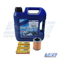 WSM 005-135 Service Kit