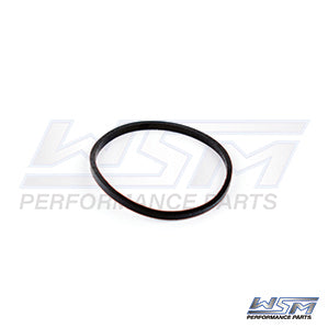 WSM 006-510-01 Fuel Filter O-Ring