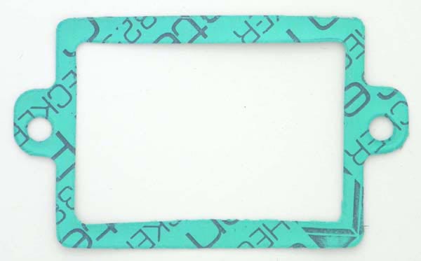 WSM Reed Valve Gasket