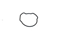 WSM Oil Pump Housing O-Ring – Kawasaki 1200 / 1500 03-26 | 008-429-09