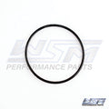 WSM 008-586 Balance Shaft O-Ring