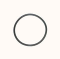 WSM Oil Pump O-Ring – Sea-Doo / Can-Am 900 14-26 | 008-599-28