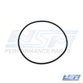 WSM Head O-Ring