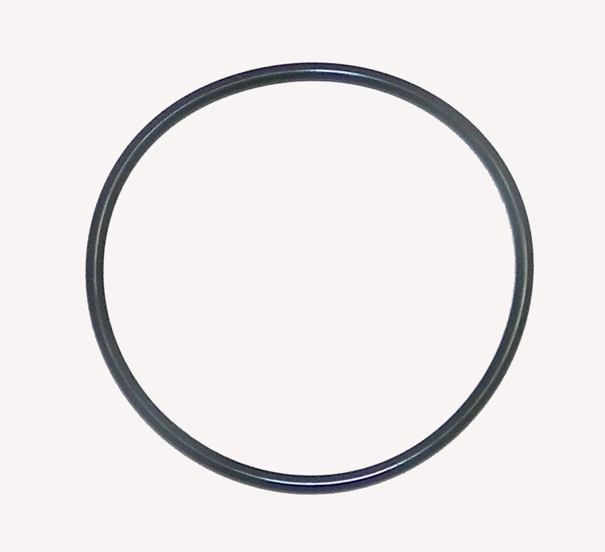 WSM Throttle Plate O-Ring