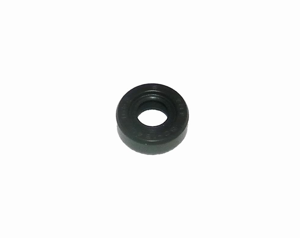 WSM 009-790 Power Valve Oil Seal