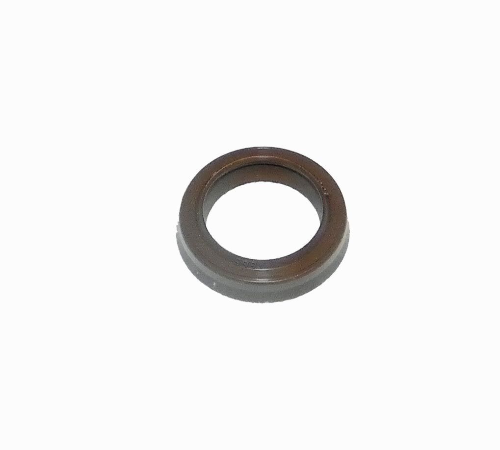 WSM 009-795 Power Valve Oil Seal