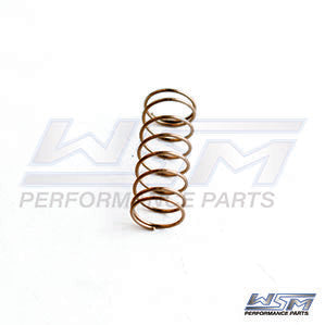WSM 010-028 Power Valve Compression Spring