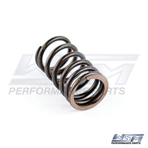 WSM Valve Spring – Sea-Doo 1503 / 1630 4-Tec Outer 02-23 / Can-Am 500 / 650 02-05 | 010-030