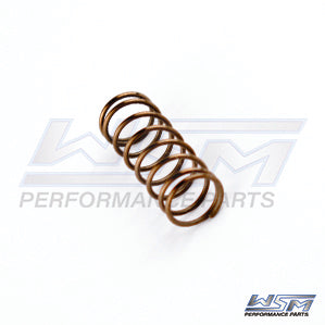 WSM 010-034 Power Valve Spring