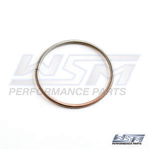 WSM 010-495-06 Power Valve Bellow Spring