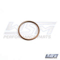 WSM 010-495-07 Power Valve Bellow Spring