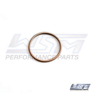 WSM 010-495-07 Power Valve Bellow Spring