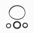 WSM 010-498K-1 Power Valve Rebuild Kit