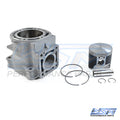 WSM 010-6024K Cylinder Kit