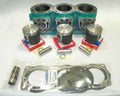 WSM 010-821-20EX Cylinder Kit