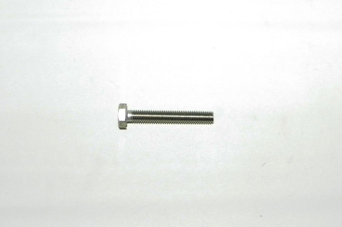 WSM 014-310 Bolt, Hex Head Case