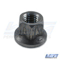 WSM Nut, Head