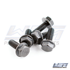 WSM 014-907 Bolt, Magneto