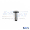 WSM 014-939 Bolt, Hex Cap