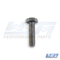 WSM 014-945 Bolt, Hex Cap