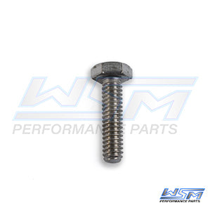 WSM 014-945 Bolt, Hex Cap