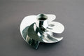 WSM Impeller – Sea-Doo 1503 4-Tec 09-17 (159mm) | 021-220-15/21A