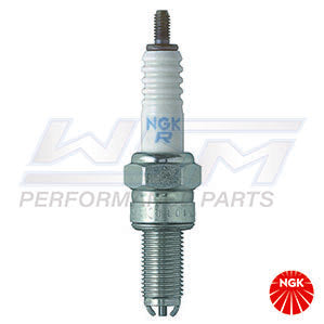 WSM NGK Spark Plug | CR8EK product image