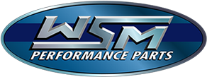 WSM Champion Spark Plug | INSP14 product image
