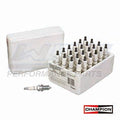 Champion Spark Plug – QL82YC-SP - Shop Pack Of 24 | QL82YC-SP